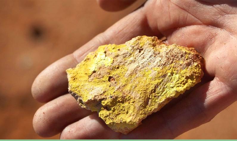 Fiyatı altını dahi geçti: Son 5 yılda yüzde 233 değerlendi 5